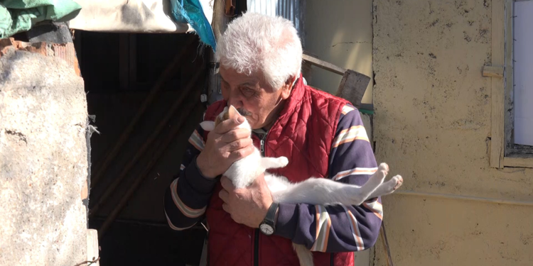 Emekli olup köyüne yerleşti, 29 köpek ve 30'dan fazla kediye bakıyor
