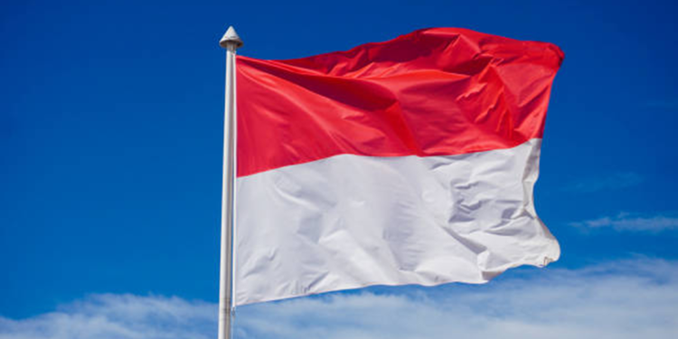 Endonezya BRICS'in yeni üyesi oldu