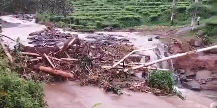 Endonezya'da sel ve toprak kayması: 16 ölü