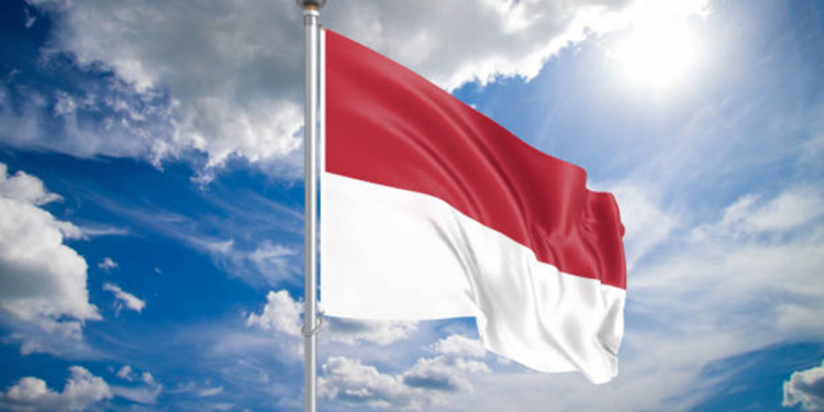 Endonezya'da toprak kayması: 4 ölü