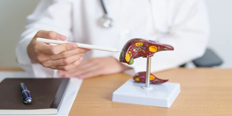 Enginar, karaciğer sağlığı için önemli rol oynuyor