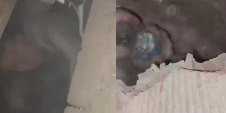 Enkaz altında sevinç sohbeti: AFAD görevlisine ‘hoş geldin abi’ diye seslendi