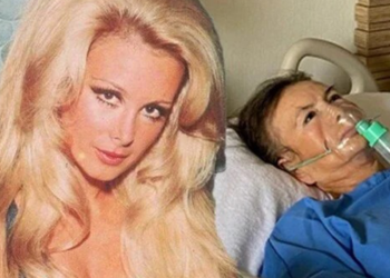 Filiz Akın ambulans uçakla İstanbul'a sevk edildi