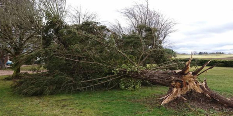 Fransa'da 19 vilayette turuncu alarm verildi