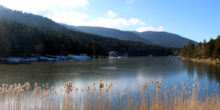 Gölcük Tabiat Parkı'ndaki göl buz tuttu