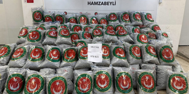 Hamzabeyli'de 870 kilogram skunk ele geçirildi