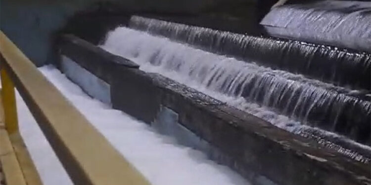 Yalova'da içme suyu arıtma tesisinde kimyasal madde şüphesi