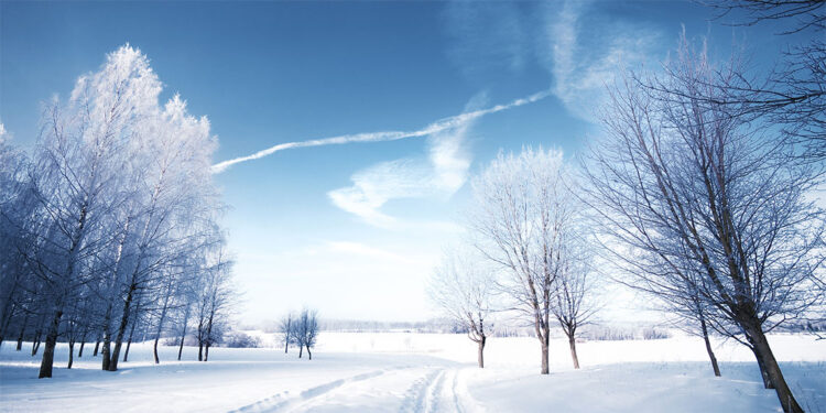 İngiltere'de yoğun kar yağışı; Uçuşlar askıya alındı