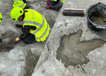 İngiltere'de 166 milyon yıllık dinozor ayak izleri keşfedildi