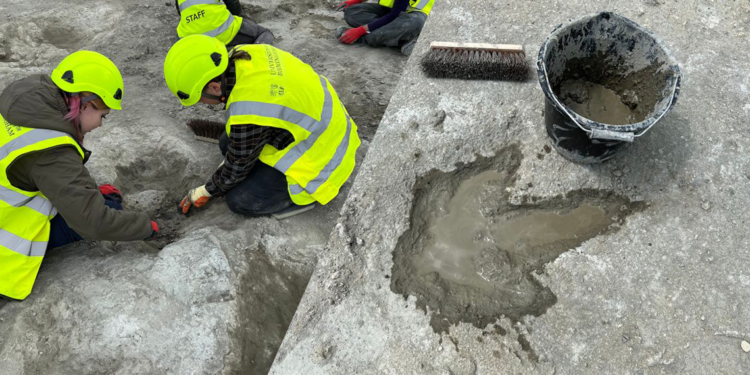 İngiltere'de 166 milyon yıllık dinozor ayak izleri keşfedildi