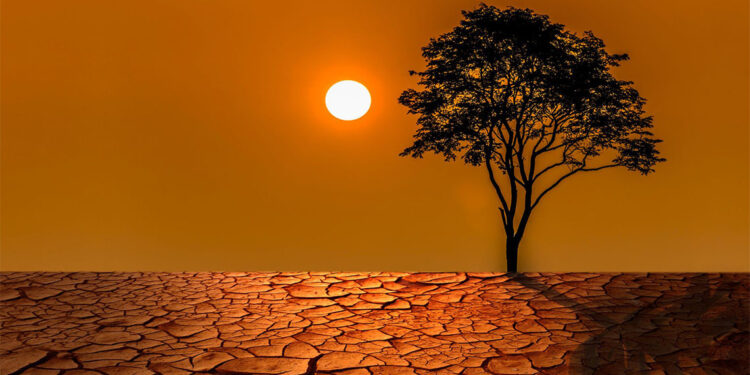 Japonya'da 2024 en sıcak yıl olarak kaydedildi