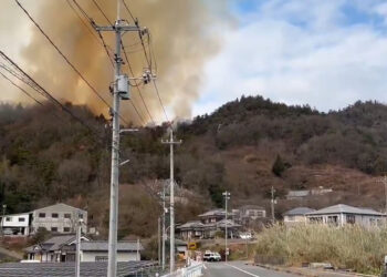 Japonya'da orman yangını