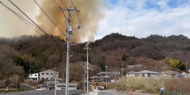Japonya'da orman yangını