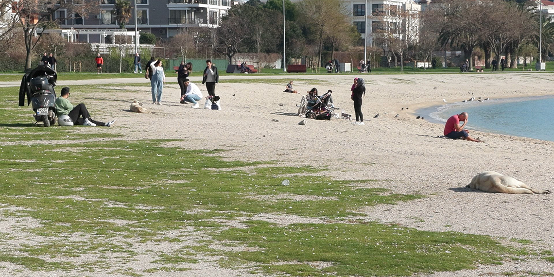 Kar ne zaman yağacak? Uzman isim tarih verdi