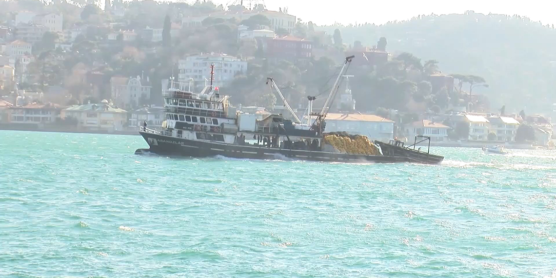 Kayıp kardeşleri aramak için İstanbul Boğazı gemi trafiğine kapatıldı