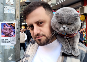 Kedisi Tom'un stada alınması için afişli çağrıda bulundu