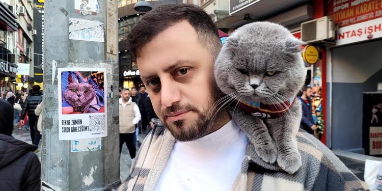 Kedisi Tom'un stada alınması için afişli çağrıda bulundu