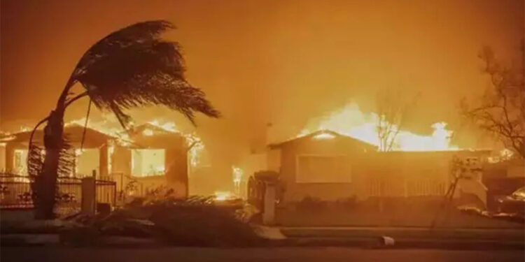 Los Angeles'taki orman yangınları 24 can aldı