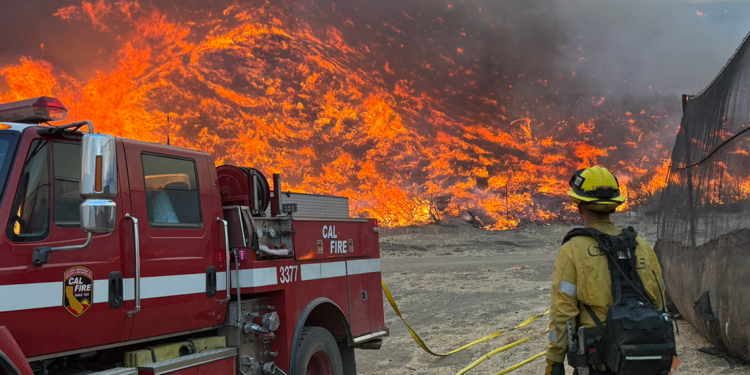 Los Angeles'taki yangınlarda ölü sayısı 29'a yükseldi