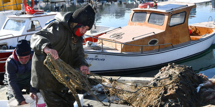 Marmara'da artan müsilaj balıkçıları vurdu