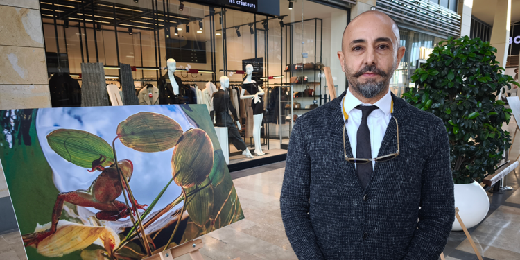 Mersin'de nesli tehlike altındaki 'Toros kurbağası' sergisi