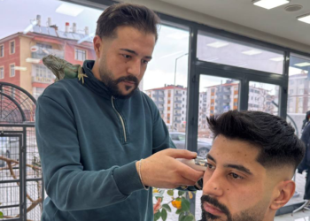 Müşterilerini, omzunda iguana ile tıraş ediyor