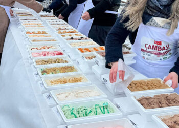 Ordu'da bin 301 çeşit dondurma ile Guinness rekoru kırıldı