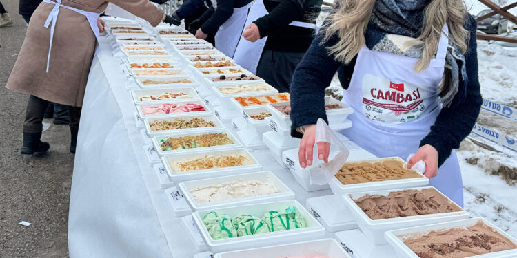 Ordu'da bin 301 çeşit dondurma ile Guinness rekoru kırıldı