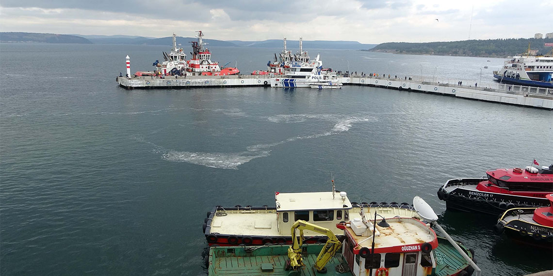 Prof. Dr. Şükran Yalçın Özdilek, müsilaj oluşumunu artıran en önemli faktörlerden birinin orman ve akarsu kenarları ile deltalardaki çalılıkların popülasyonundaki azalma olduğunu söyledi.