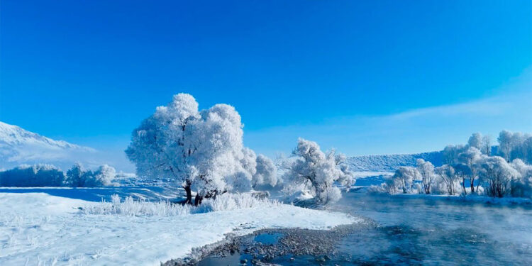 Ovacık kar yağışıyla beyaza büründü