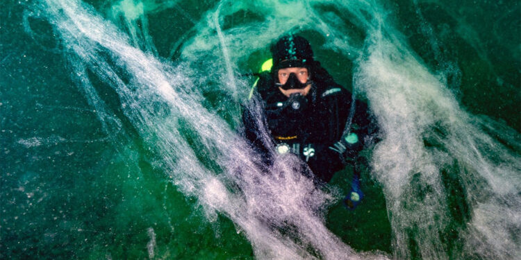 Müsilaj 7 hafta içinde bütün Marmara Denizi'ne yayıldı