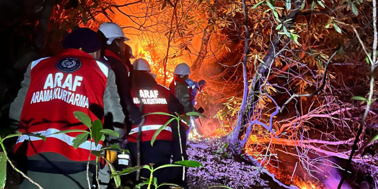 Rize'de anız yangını ormana sıçradı; 15 dönüm alan zarar gördü