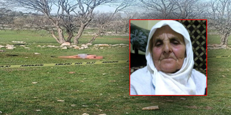 Saldırdıkları kadını öldüren köpeklerin sahibine 4 yıl 5 ay hapis