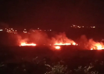 Samandağ'daki sazlık yangını söndürüldü