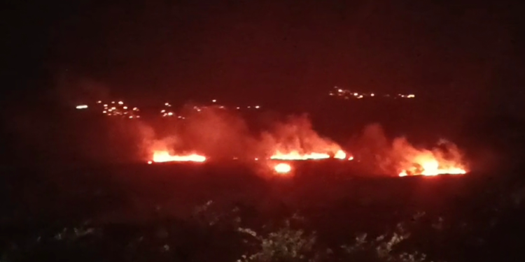 Samandağ'daki sazlık yangını söndürüldü