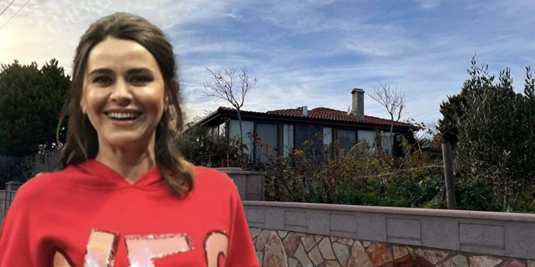 Seçil Erzan'ın Bozcaada'daki evi icradan satıldı