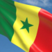 Senegal, 2025'te ülkedeki Fransız askerlerini gönderecek