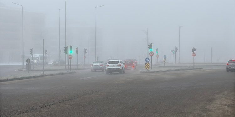 Sivas'ta yoğun sis etkili oldu