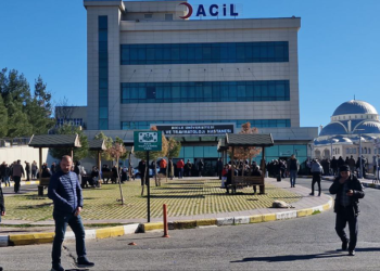 Sokak köpeğinin saldırısına uğrayan 5 yaşındaki çocuk, yaralandı