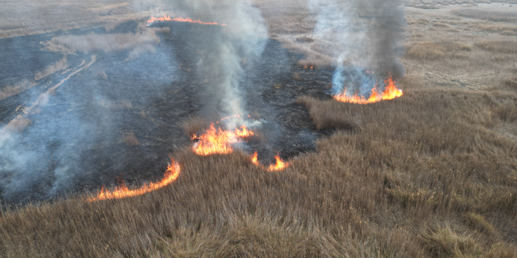 Sultan Sazlığı Milli Parkı'ndaki yangına müdahalede 2'nci gün