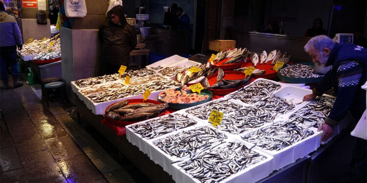 Hamsinin kilosu 200 liradan satışa sunuluyor