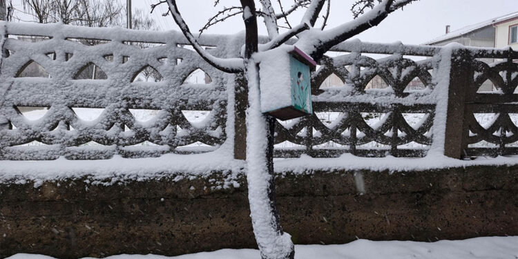 Keşan'da kar yağışı; Gün boyunca etkili olacak