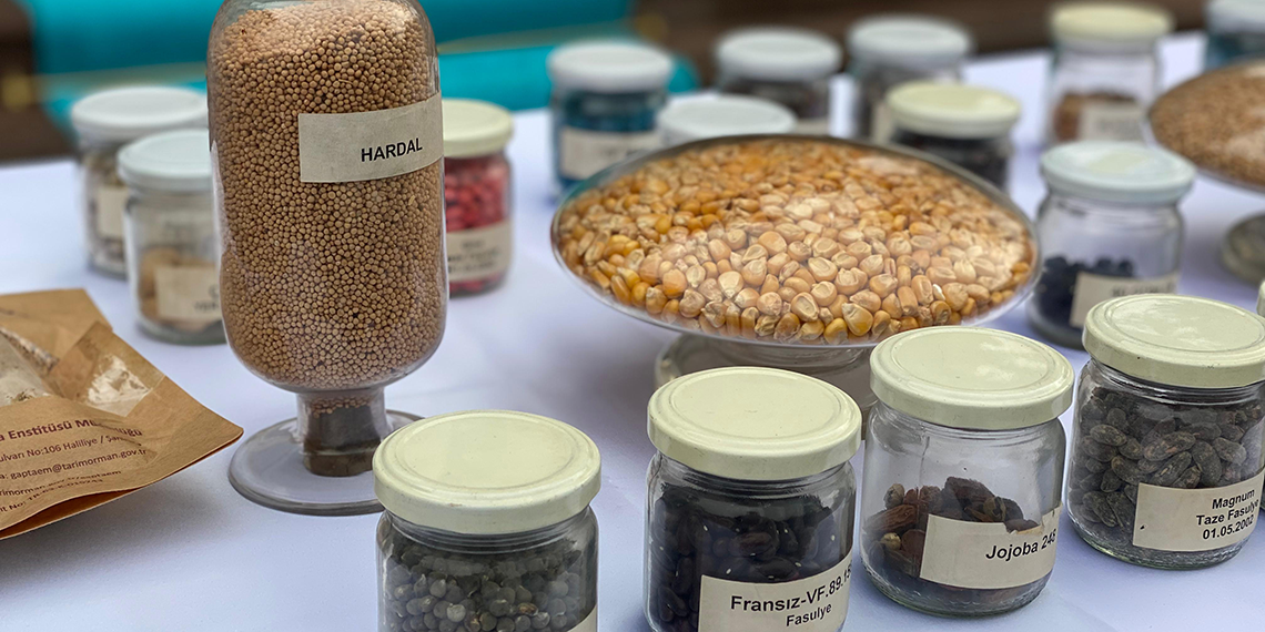 Tarım kredi marketlerde ata tohumlarının satışına başlayacağız