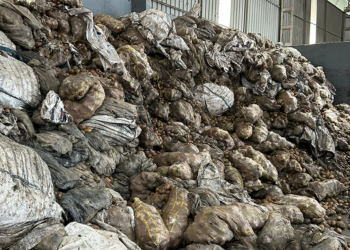 Tunus'tan iade edilen 2 bin 500 ton patates, Mersin'de imha ediliyor