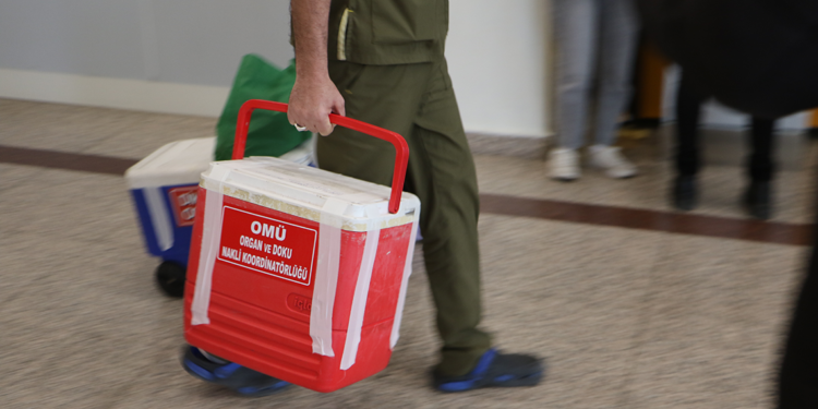 Türkiye'de 33 bin 589 hasta organ ve doku nakli bekliyor