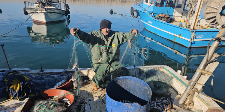 Zonguldak'ta bereketli balık sezonu