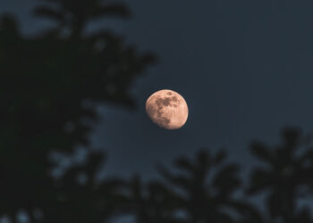 Ay ışığı savaşçısı