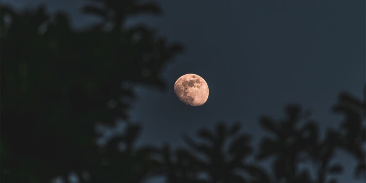 Ay ışığı savaşçısı