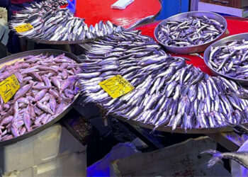 Kalp sağlığı için haftada 2 kez balık tüketin