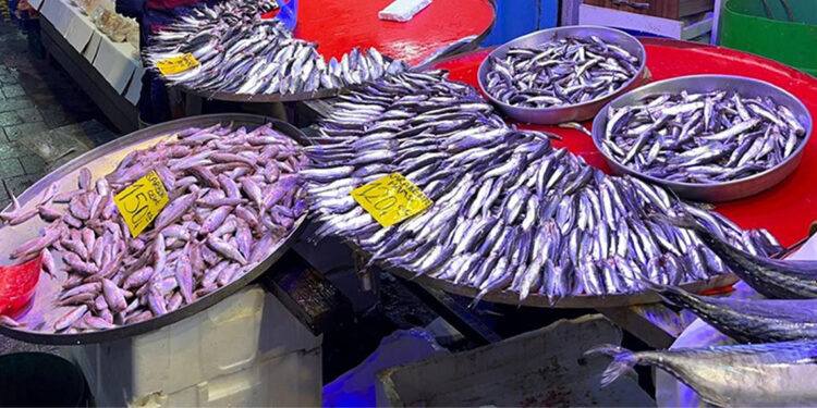 Kalp sağlığı için haftada 2 kez balık tüketin